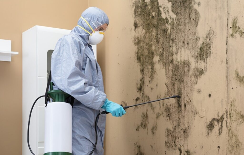 mold damage Property Damage Restoration Contractors