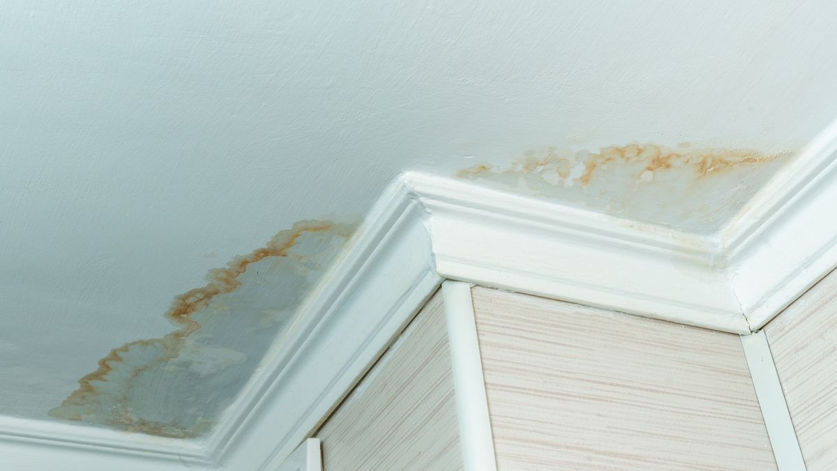6nEUKrFzmX6Wei2svWwrDa 1200 80 10 Signs Your Home Has Hidden Water Damage (And What to Do Next)