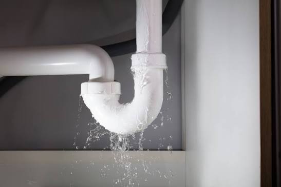 Water Damage Build-Back